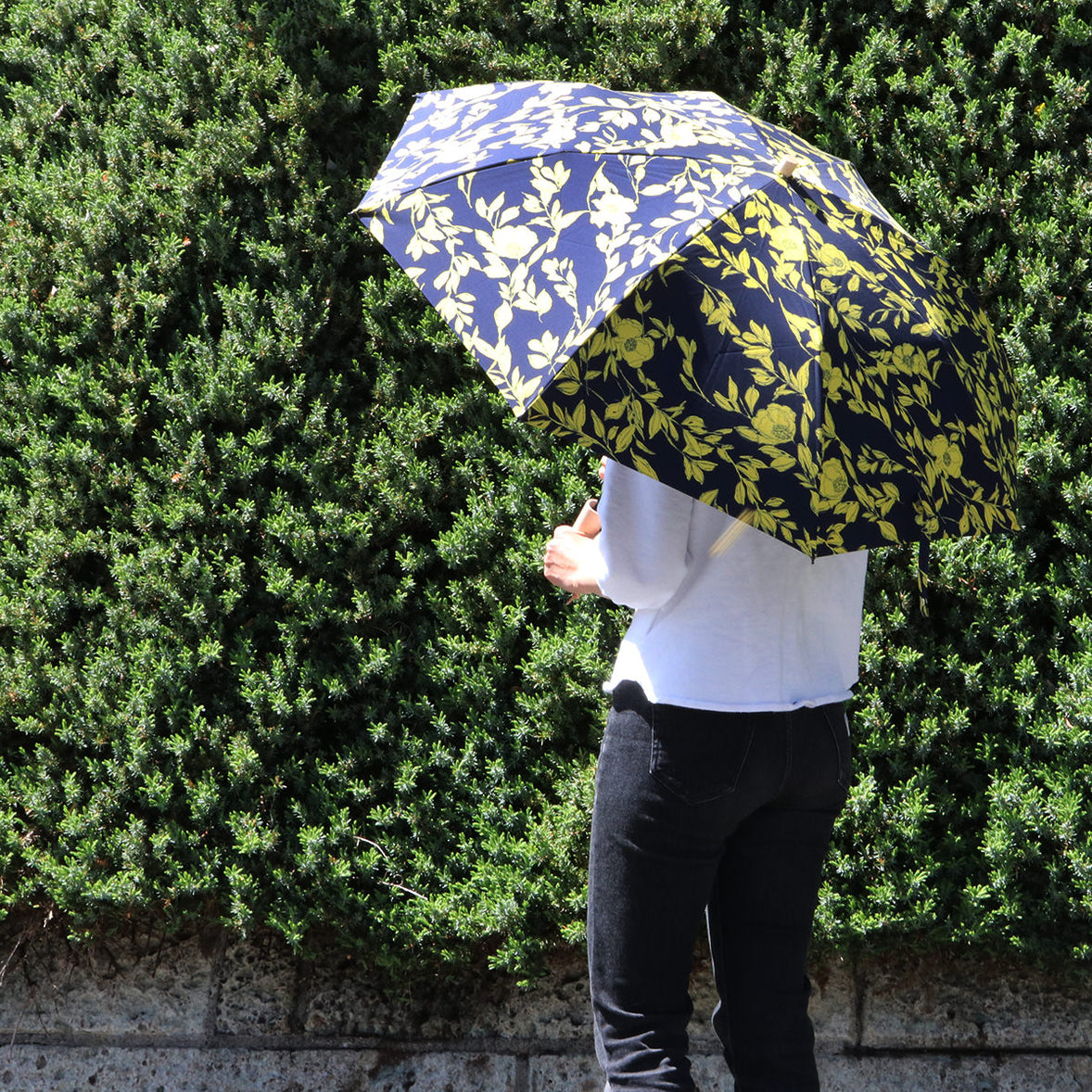 Rainbow~Niji 2way Folding Umbrella