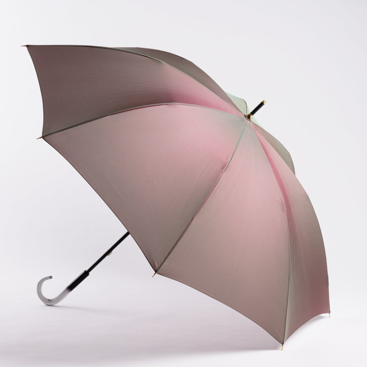 Rainbow ~ Niji 8 rib umbrella