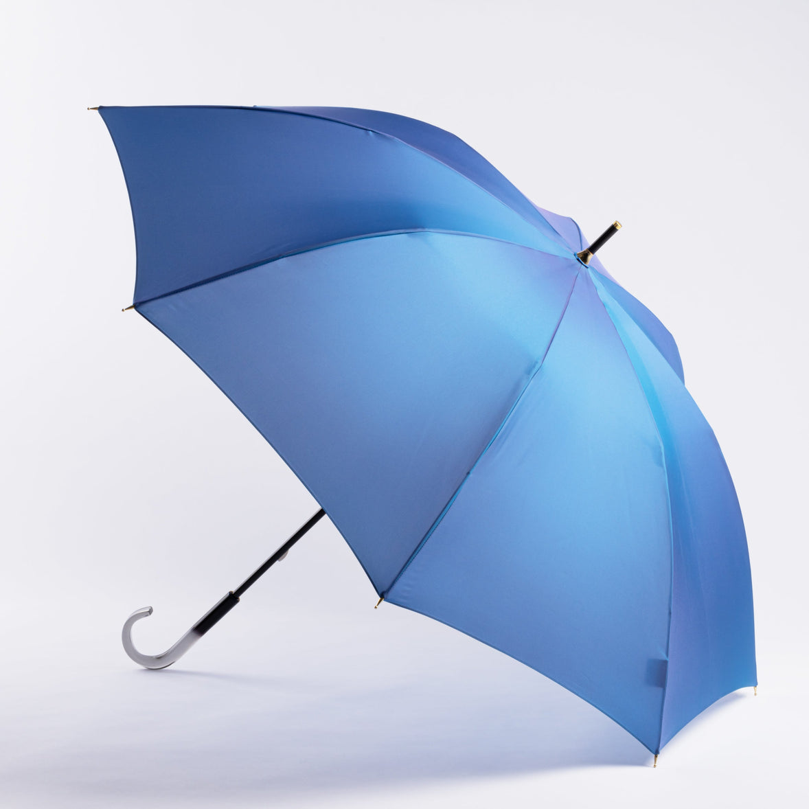 Rainbow ~ Niji 8 rib umbrella