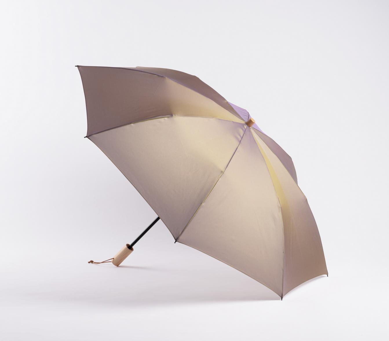 Rainbow~Niji 2way Folding Umbrella