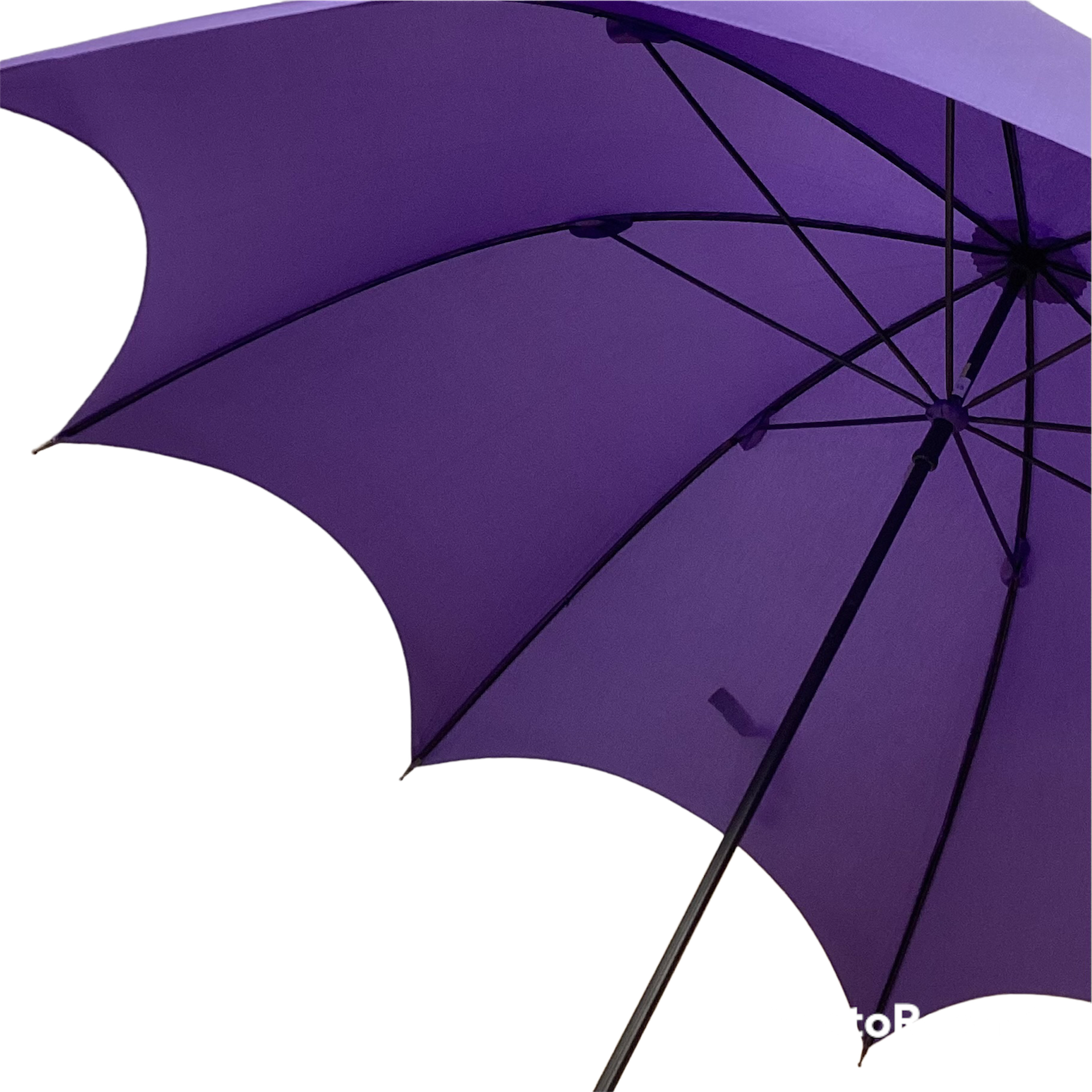 Women's Deep Tension Thin Roll Long Umbrella