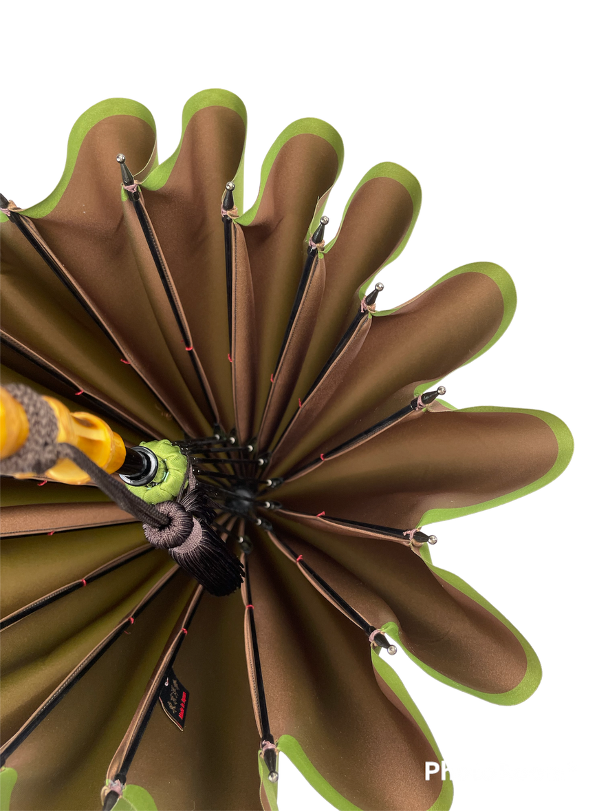Women's - Kokorobae - 16 Ribs Long Umbrella 